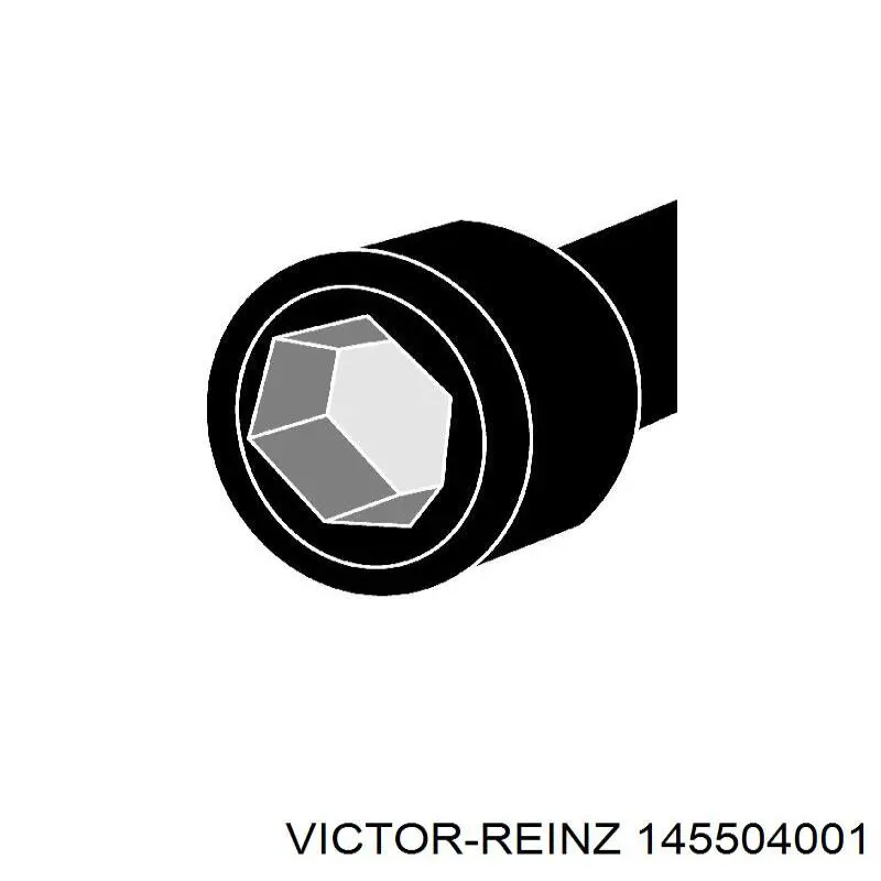 Болт головки блока циліндрів, ГБЦ Victor Reinz 145504001 ціна, від 26.50 USD