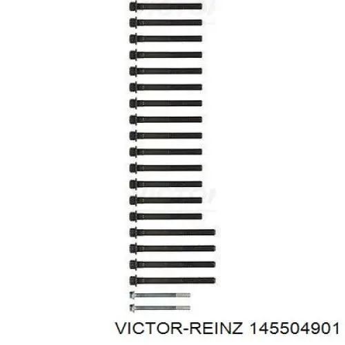 Купити 145504901 Victor Reinz Болт гбц