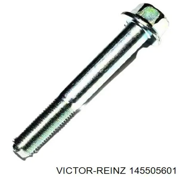 Купити 145505601 Victor Reinz Болт гбц