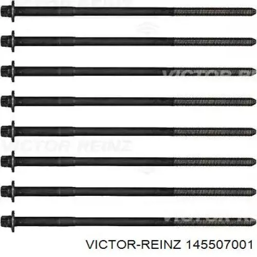 Купити 145507001 Victor Reinz Болт гбц