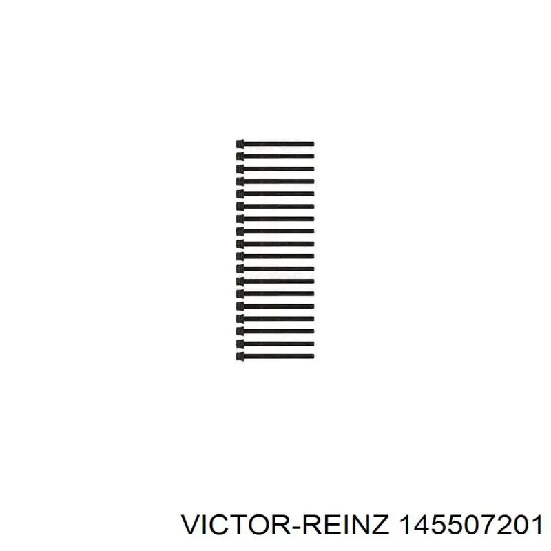 Болт головки блока циліндрів, ГБЦ 145507201 Victor Reinz