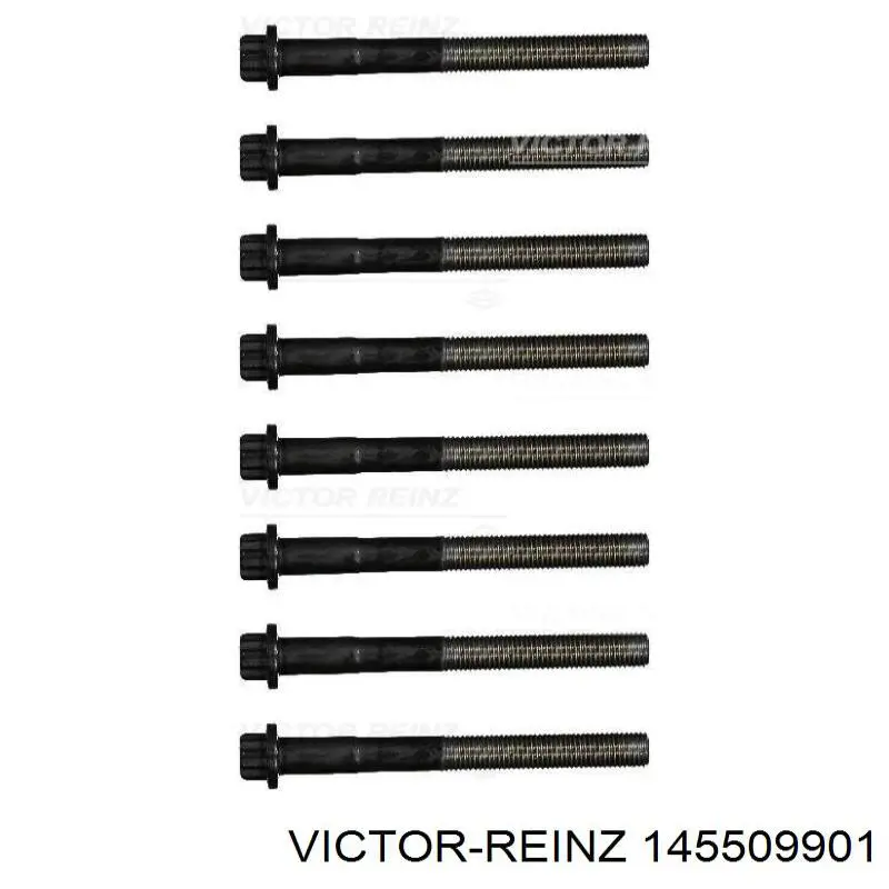 145509901 Victor Reinz Болт кріплення головки блоку циліндрів