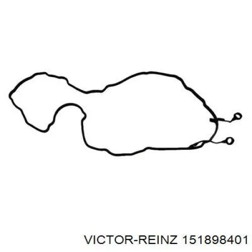 Купити 151898401 Victor Reinz Прокладка клапанної кришки двигуна, комплект
