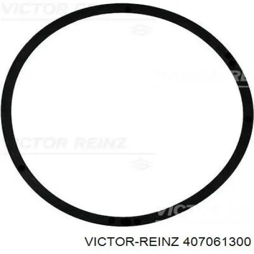 Купити 407061300 Victor Reinz Кільце форсунки