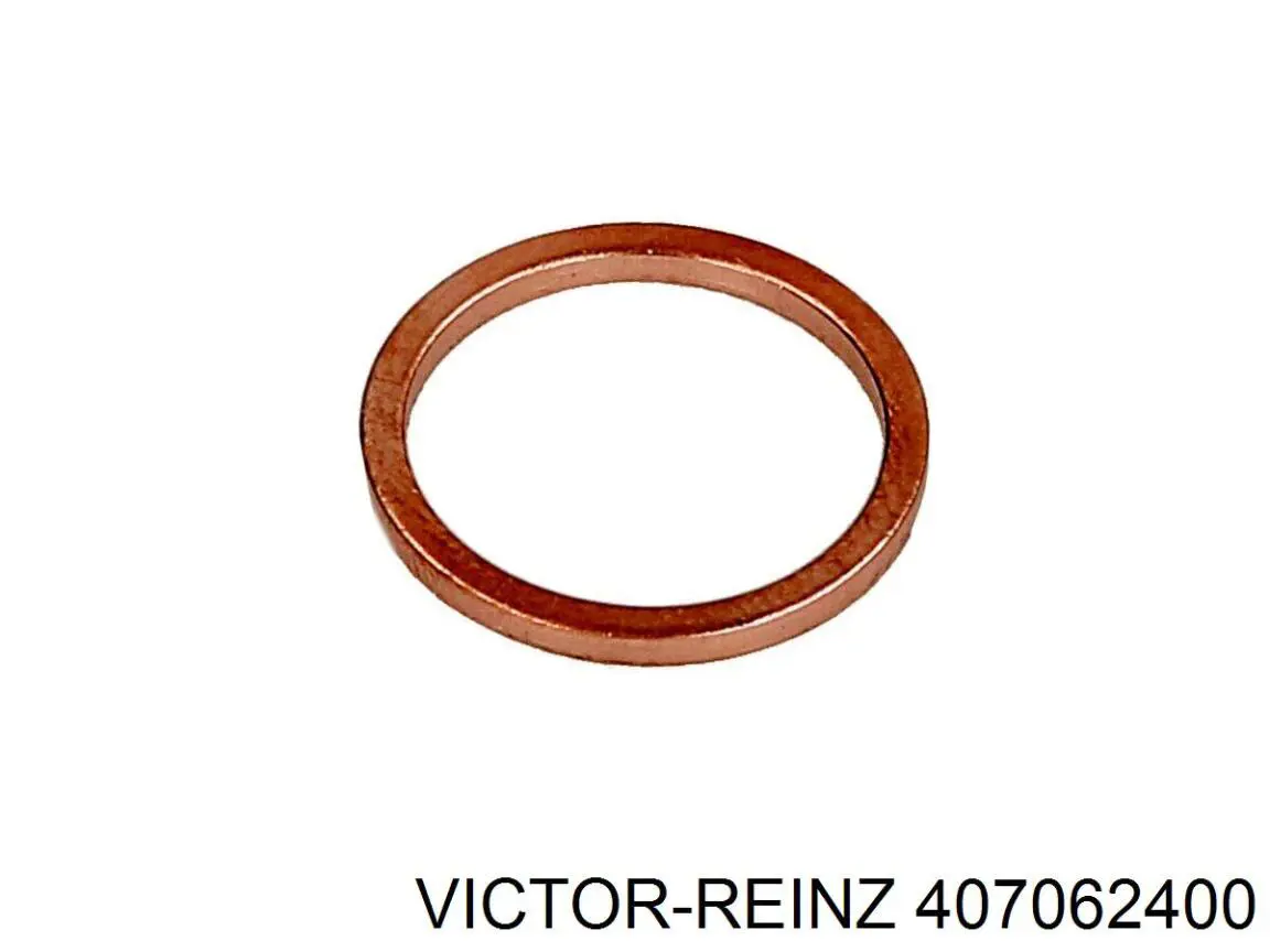 407062400 Victor Reinz Кільце інжектора