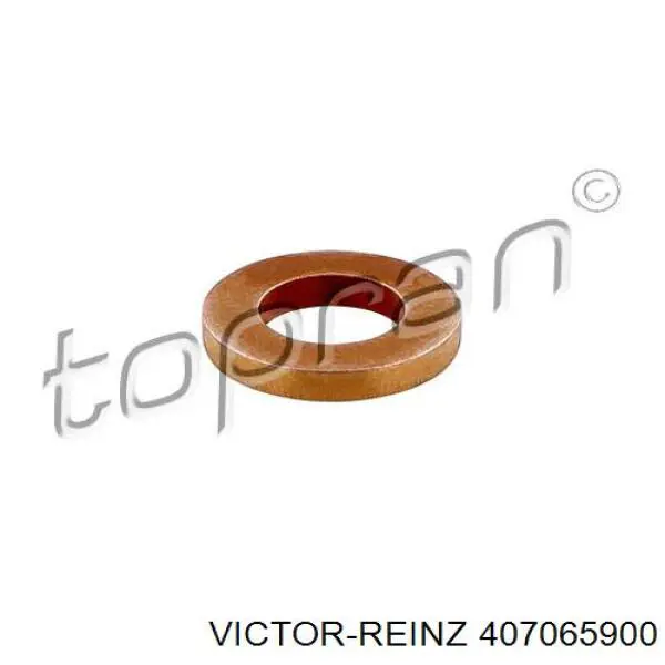 407065900 Victor Reinz Кільце інжектора