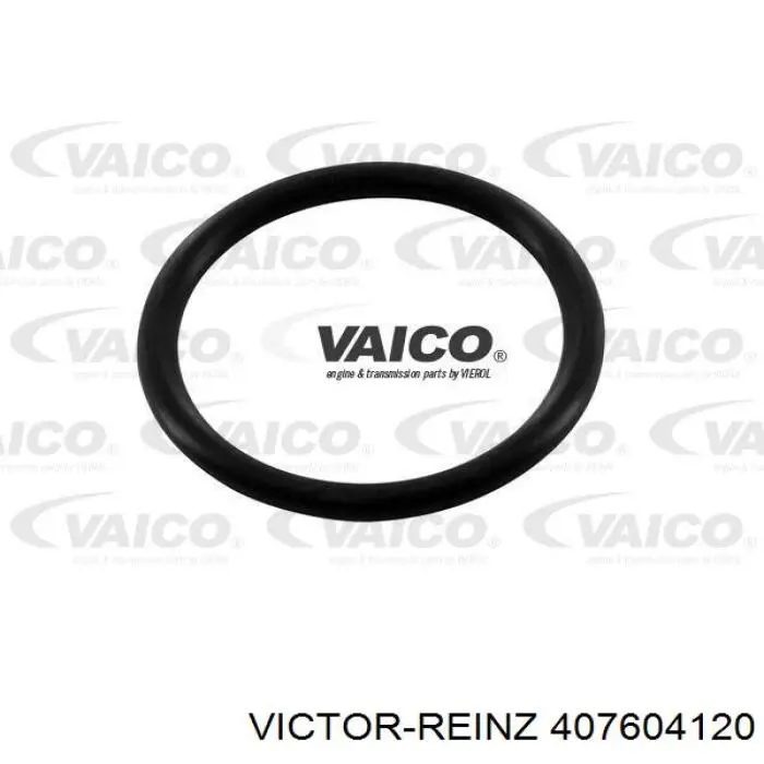Прокладка пробки піддону двигуна 407604120 Victor Reinz
