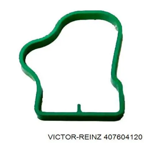 Прокладка пробки піддону двигуна 407604120 Victor Reinz