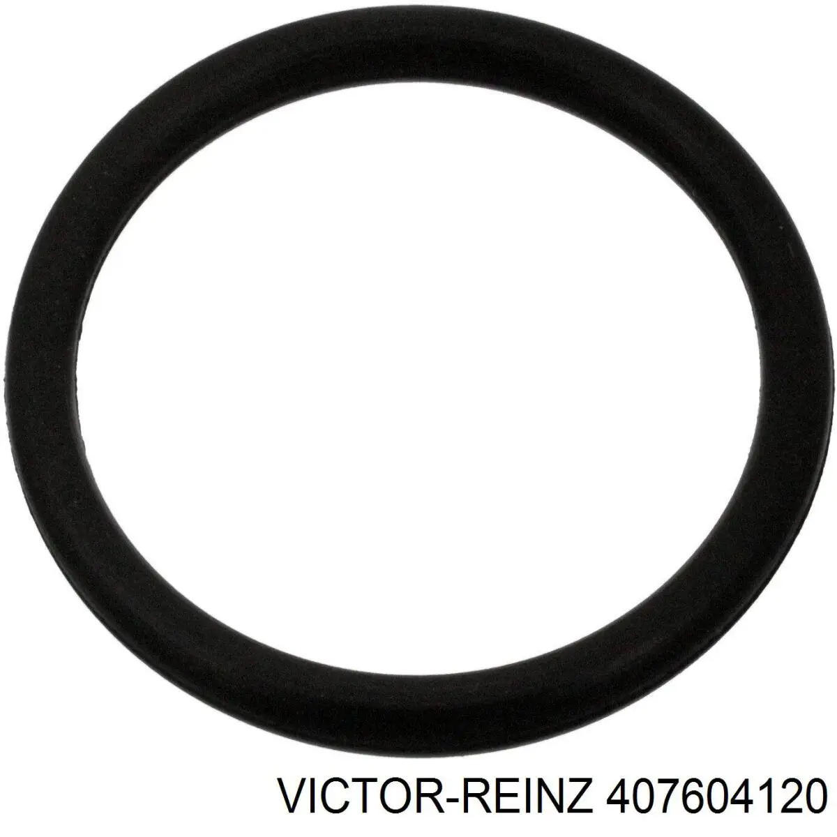 Прокладка пробки піддону двигуна Victor Reinz 407604120
