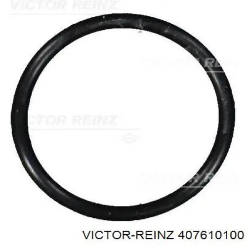 Кільце ущільнювальне свічкового колодязя Victor Reinz 407610100 ціна, від 1.16 USD