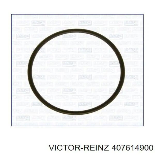 407614900 Victor Reinz Прокладка вакуумного насоса