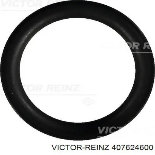 Прокладка впускного колектора 407624600 Victor Reinz