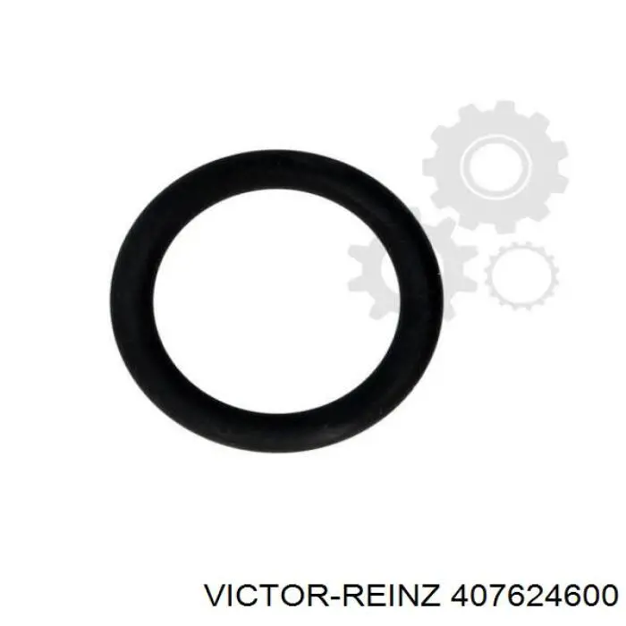 Прокладка колектору впуск Victor Reinz 407624600
