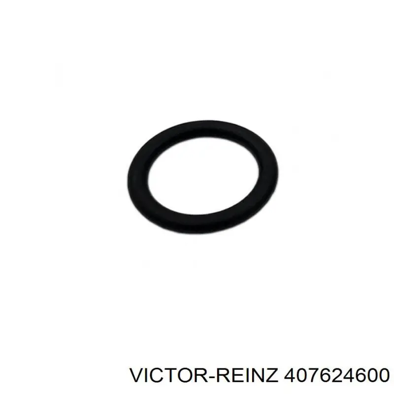 407624600 Victor Reinz Прокладка впускного колектора