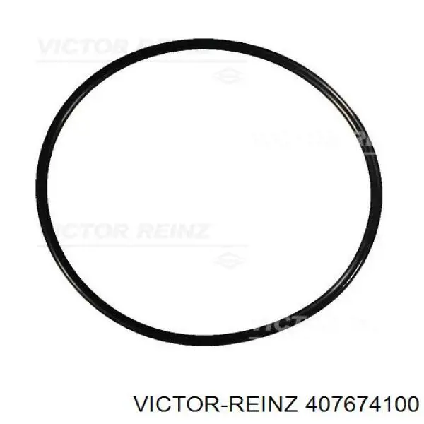 407674100 Victor Reinz прокладка клапанної кришки двигуна, кільце