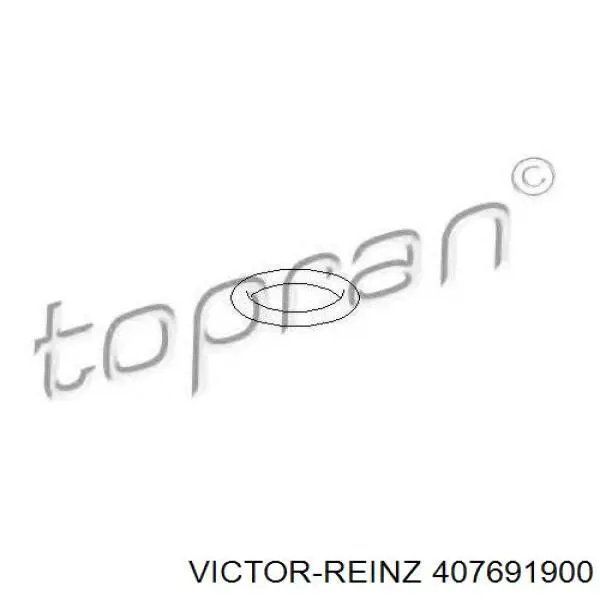 Прокладка впускного колектора 407691900 Victor Reinz