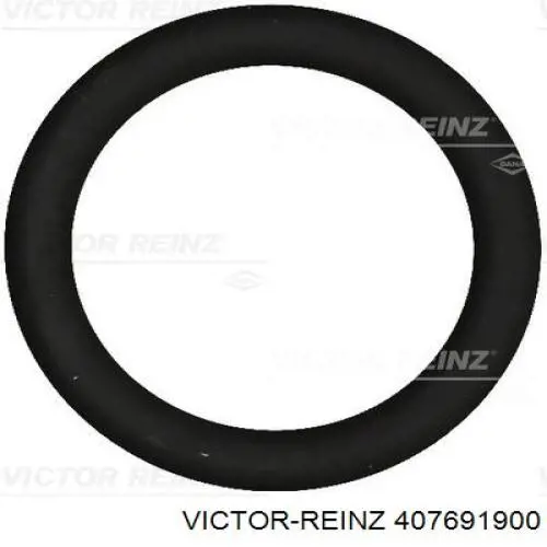 Прокладка колектору впуск Victor Reinz 407691900