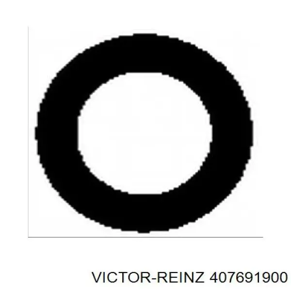 407691900 Victor Reinz Прокладка впускного колектора