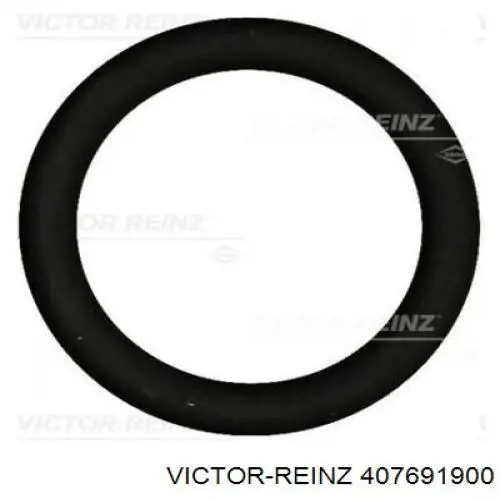 407691900 Victor Reinz Прокладка впускного колектора