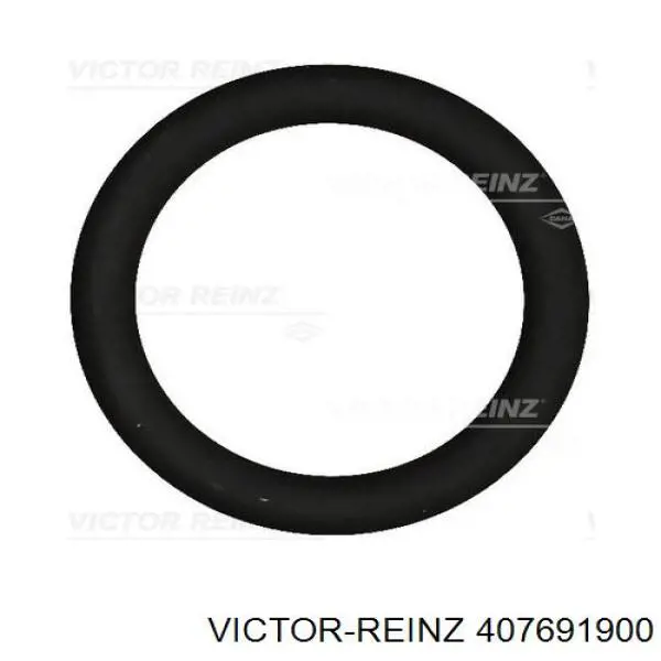 Прокладка впускного колектора Victor Reinz 407691900 ціна, від 1.94 USD