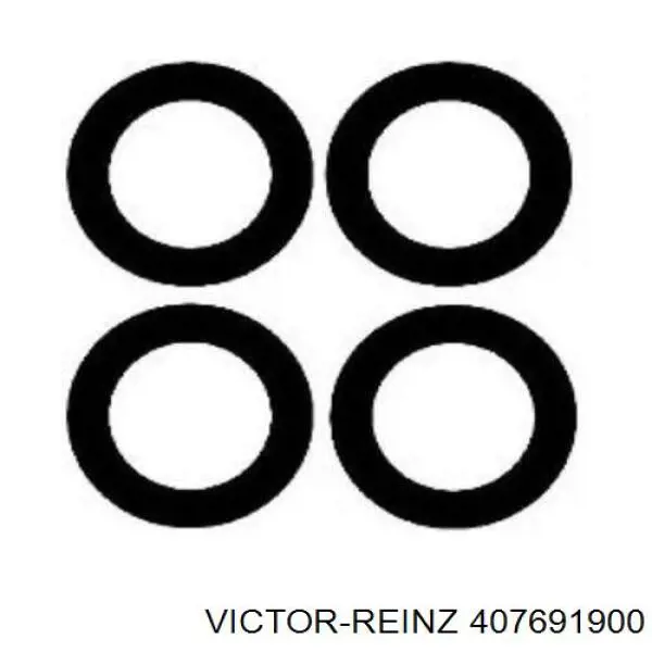 Купити 407691900 Victor Reinz Прокладка впускного колектора