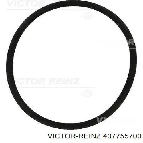 Прокладка впускного колектора Victor Reinz 407755700 ціна, від 2.97 USD