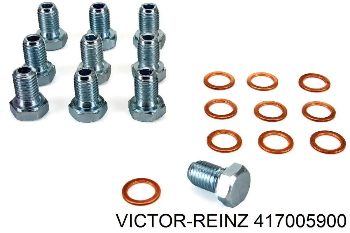 Прокладка пробки піддону двигуна 417005900 Victor Reinz