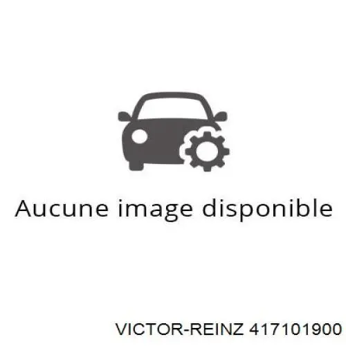  417101900 Victor Reinz