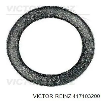 Ущільнююче кільце форсунок інжектора Victor Reinz 417103200 ціна, від 0.14 USD
