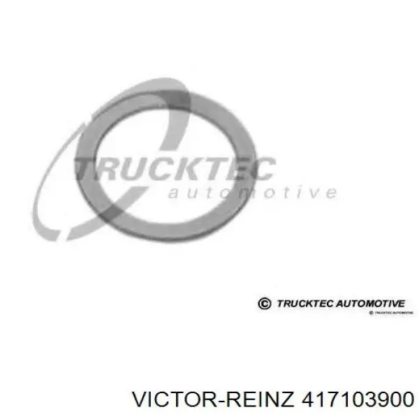 Купити 417103900 Victor Reinz Прокладка пробки піддону двигуна