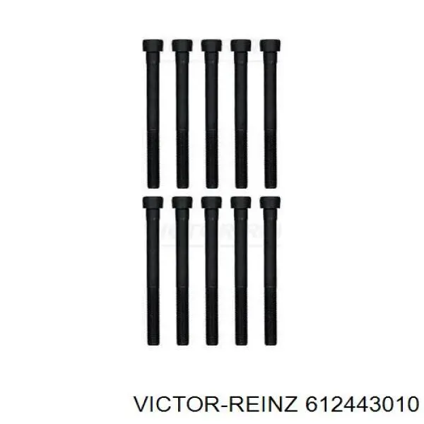 612443010 Victor Reinz прокладка головки блока циліндрів (гбц)