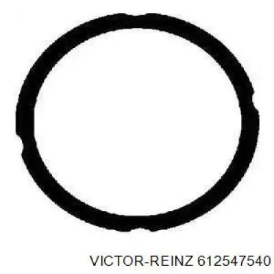 612547540 Victor Reinz Прокладка під головку