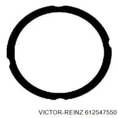 612547550 Victor Reinz Прокладка під головку