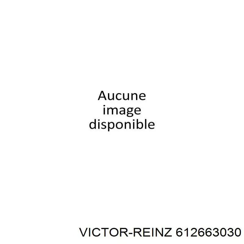 Прокладка ГБЦ Victor Reinz 612663030 ціна, від 18.47 USD
