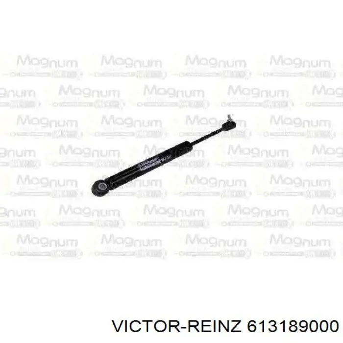 613189000 Victor Reinz прокладка головки блока циліндрів (гбц, ліва)