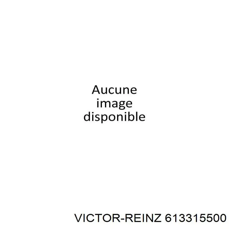 613315500 Victor Reinz прокладка головки блока циліндрів (гбц)