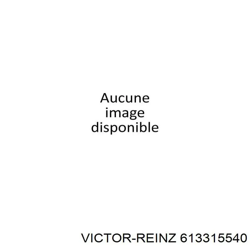 Купити 613315540 Victor Reinz Прокладка ГБЦ