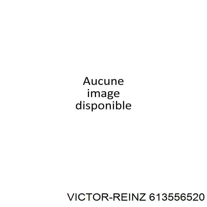 Прокладка головки блока циліндрів (ГБЦ) 613556520 Victor Reinz