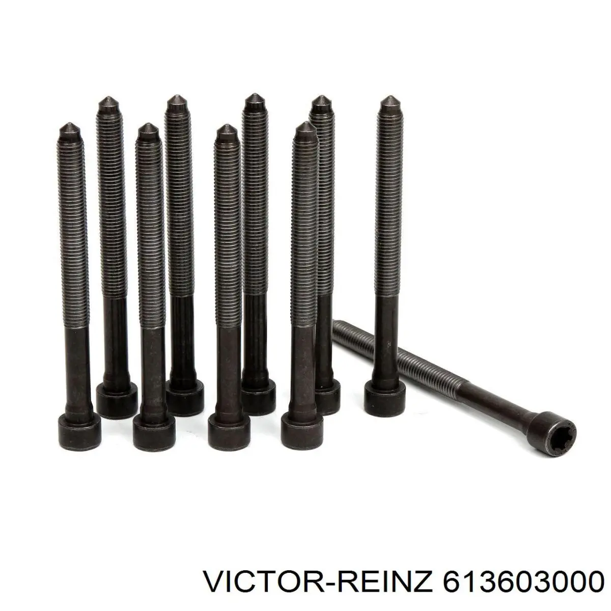 Прокладка ГБЦ Victor Reinz 613603000 ціна, від 40.83 USD