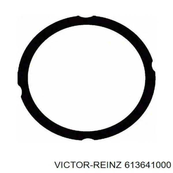 613641000 Victor Reinz Прокладка під головку
