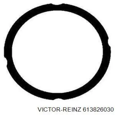 613826030 Victor Reinz Прокладка під головку