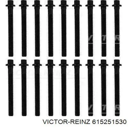 Прокладка ГБЦ Victor Reinz 615251530 ціна, від 18.97 USD