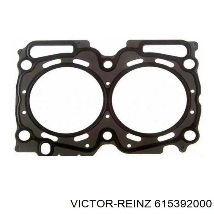 Купити HG824S NIPPON MOTORS Прокладка ГБЦ