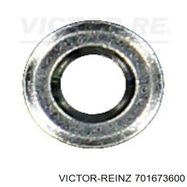 701673600 Victor Reinz Кільце інжектора