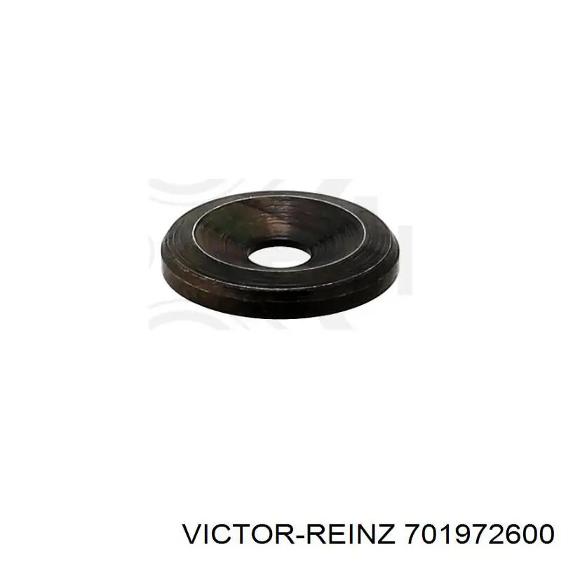 Кільце форсунки 701972600 Victor Reinz