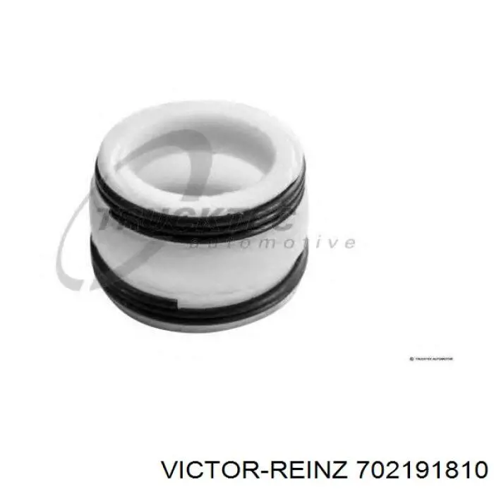 702191810 Victor Reinz сальник клапана (маслознімний, впускного)