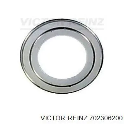 Сальник клапана (маслознімний), впуск/випуск Victor Reinz 702306200 ціна, від 0.44 USD
