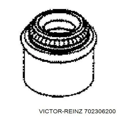 702306200 Victor Reinz сальник клапана (маслознімний, впуск/випуск)
