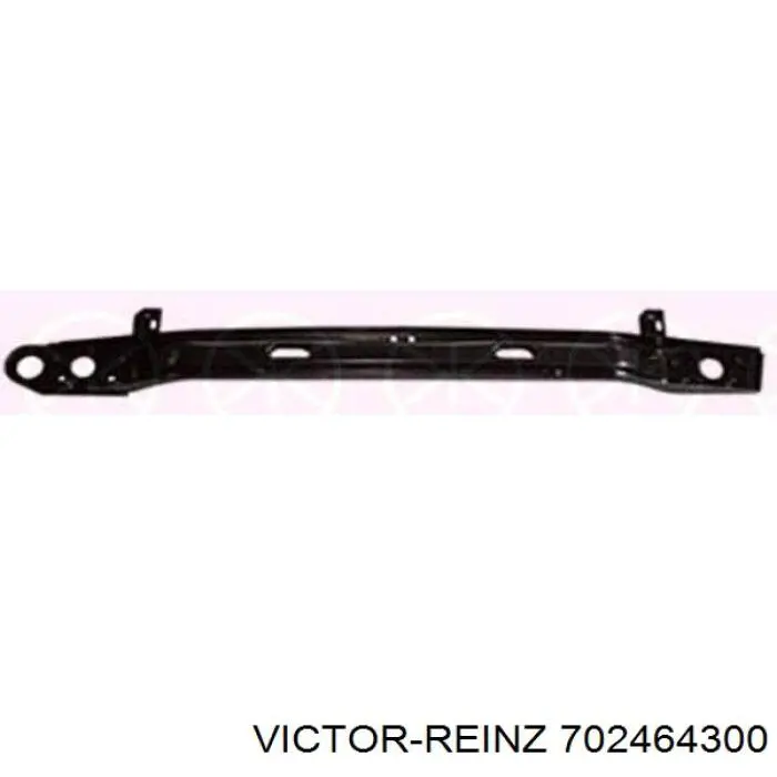 702464300 Victor Reinz Заглушка головки блока