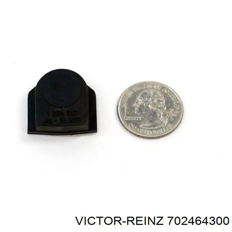 Заглушка блоку циліндрів 702464300 Victor Reinz